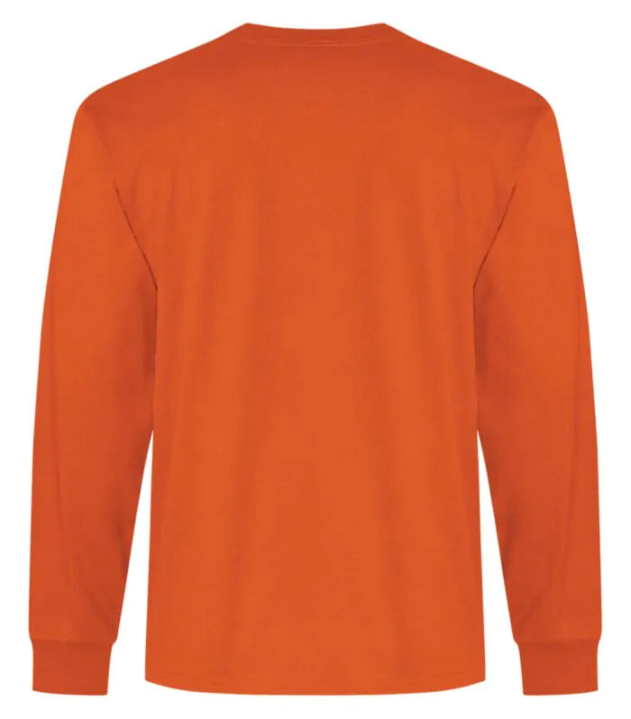 ATC™ EVERYDAY RING SPUN COTTON LONG SLEEVE TEE
